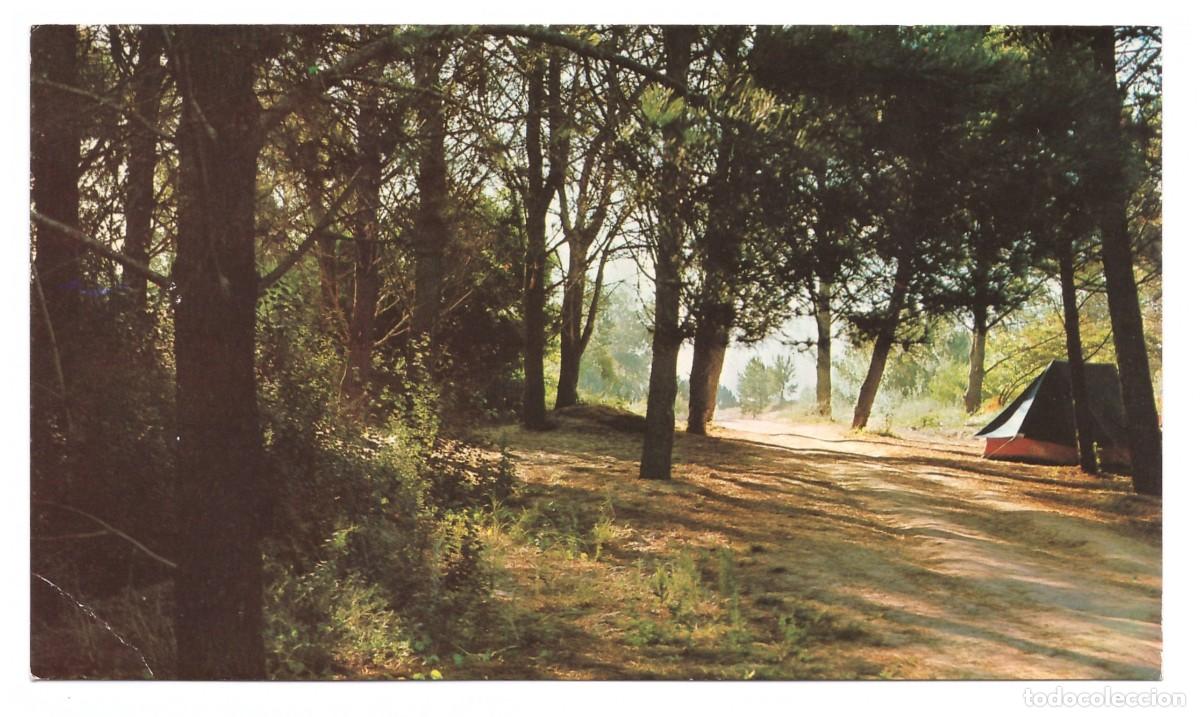 Cartoline: ARGENTINA &bull; VILLA GESELL &bull; EL PINAR