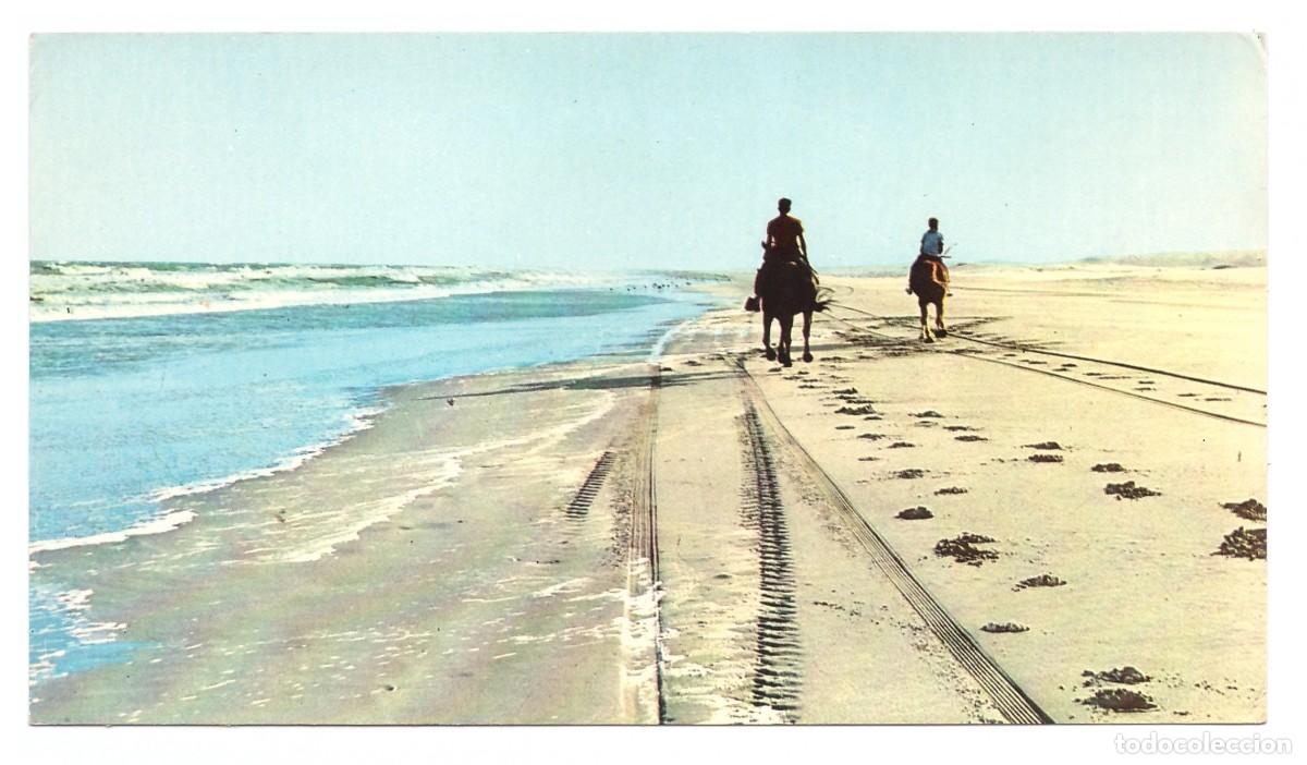 Postcards: ARGENTINA&bull; VILLA GESELL &bull; JINETES EN LA PLAYA