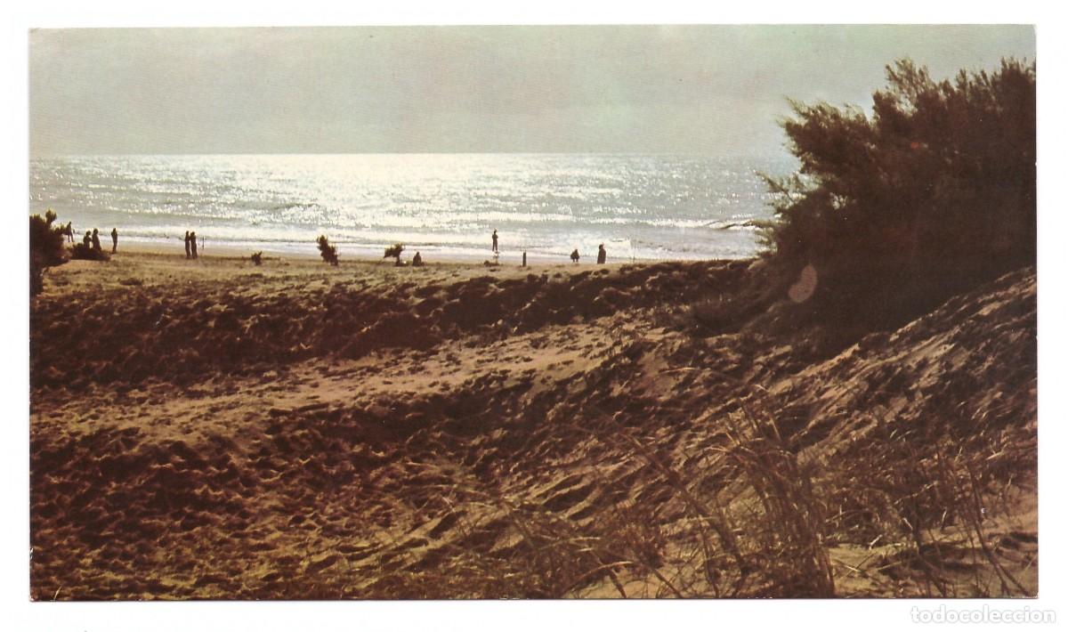 Cartoline: ARGENTINA &bull; COSTA ATL&Aacute;NTICA &bull; PLAYA