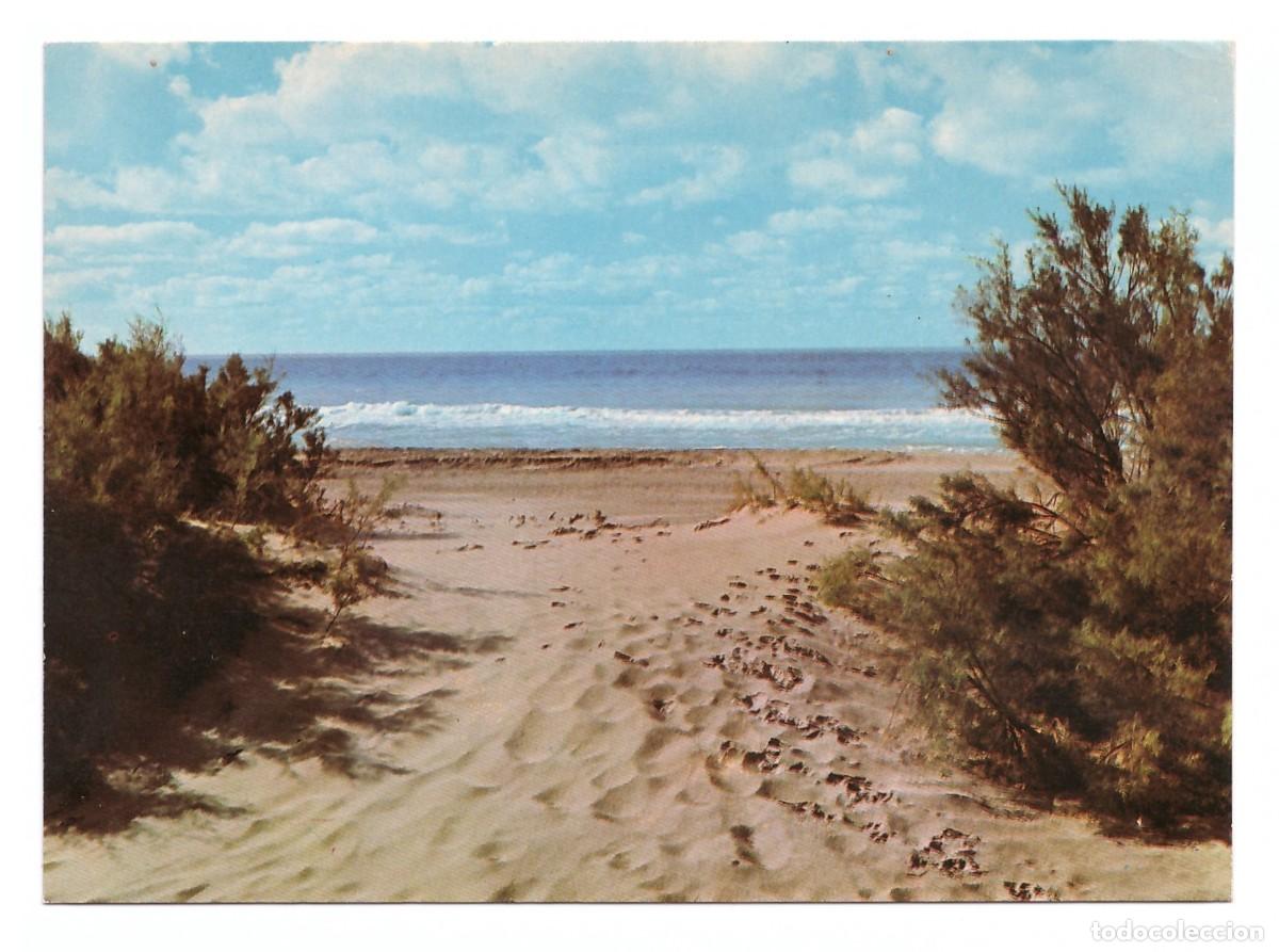 Postales: ARGENTINA &bull; VILLA GESELL &bull; PLAYA - Foto 1