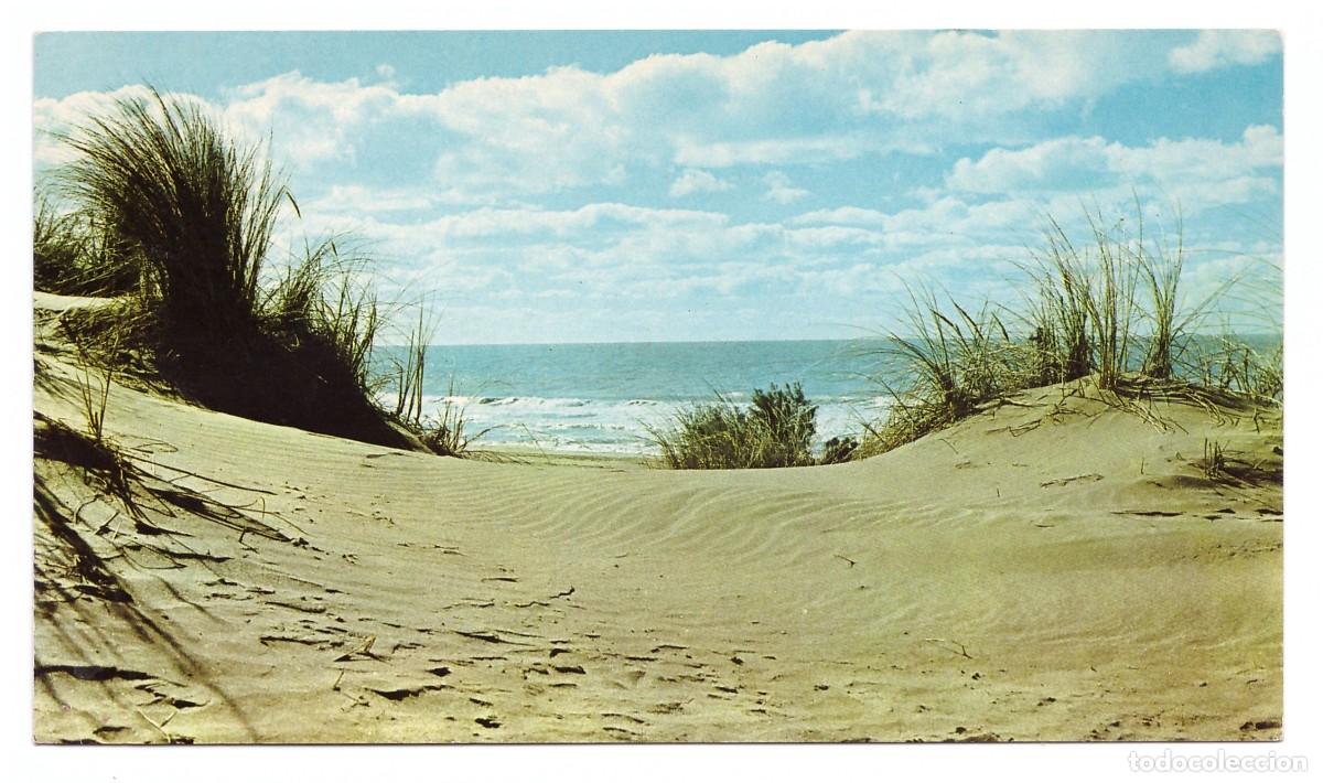Postales: ARGENTINA &bull; VILLA GESELL &bull; PLAYA - Foto 1