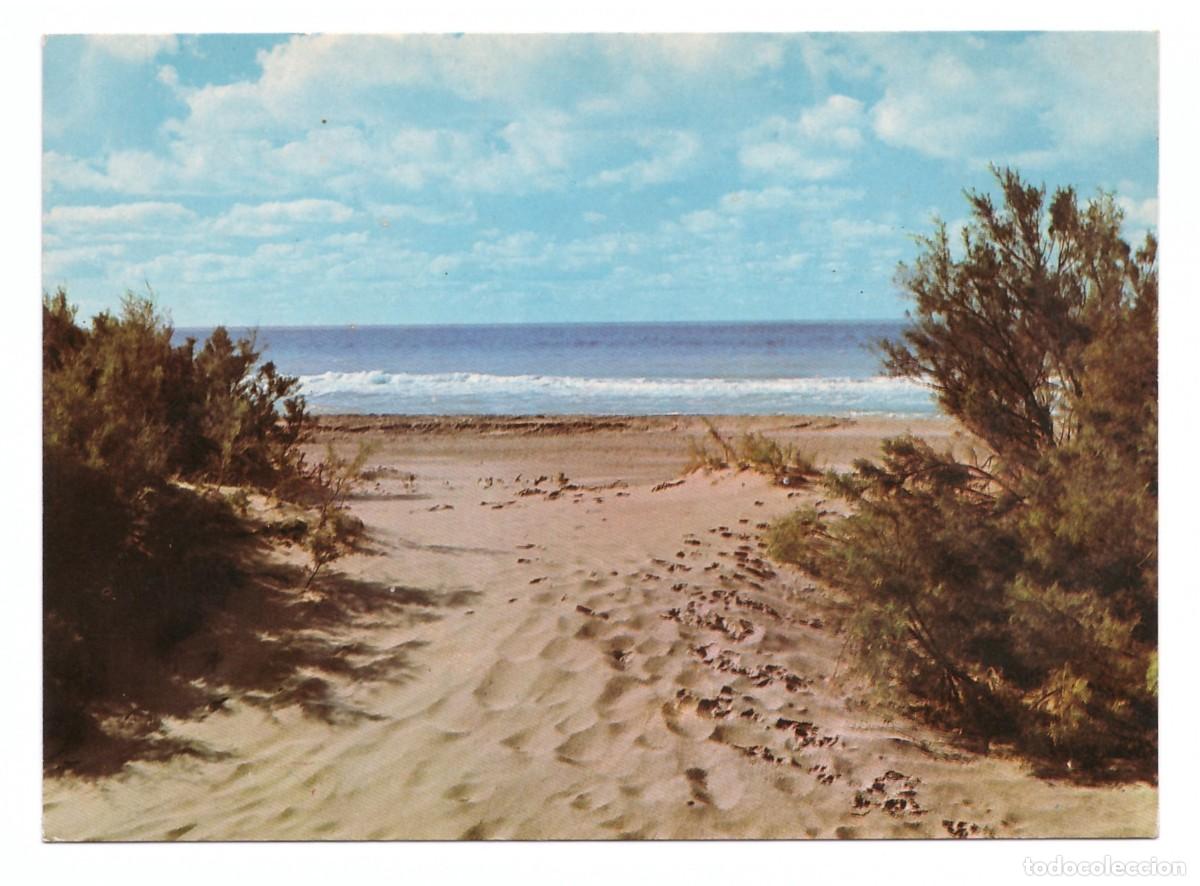 Postales: ARGENTINA &bull; VILLA GESELL &bull; PLAYA - Foto 1