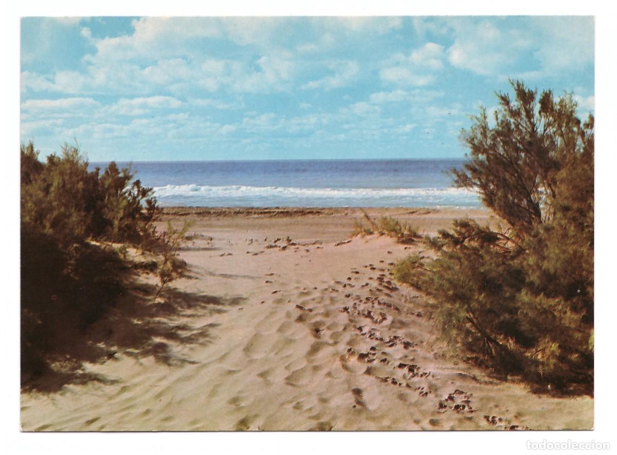 Postales: ARGENTINA &bull; VILLA GESELL &bull; PLAYA - Foto 1