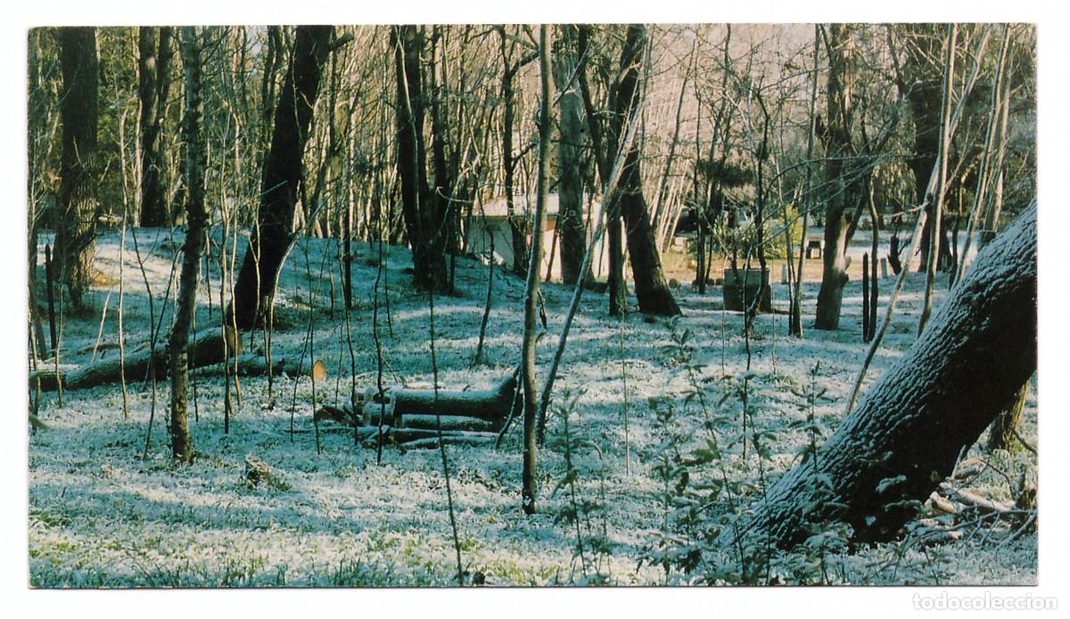 Cartes Postales: ARGENTINA &bull; VILLA GESELL &bull; VISTA NEVADA DEL BOSQUE