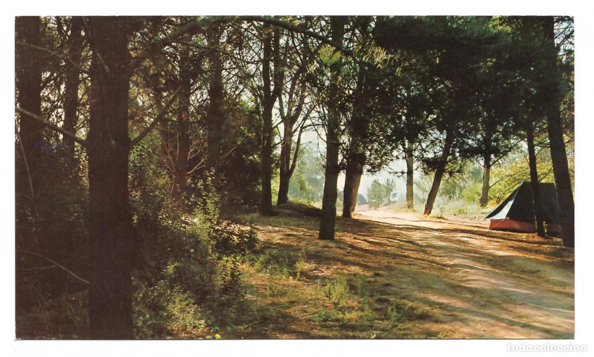 Cartoline: ARGENTINA &bull; VILLA GESELL &bull; EL PINAR