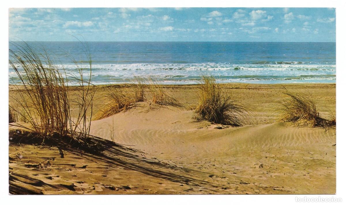 Postcards: ARGENTINA &bull; COSTA ATL&Aacute;NTICA &bull; PLAYA