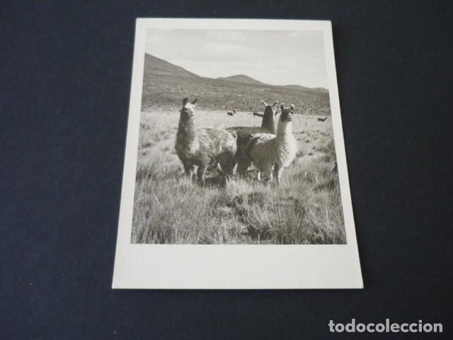 Postales: LA PAZ BOLIVIA POSTAL - Foto 1