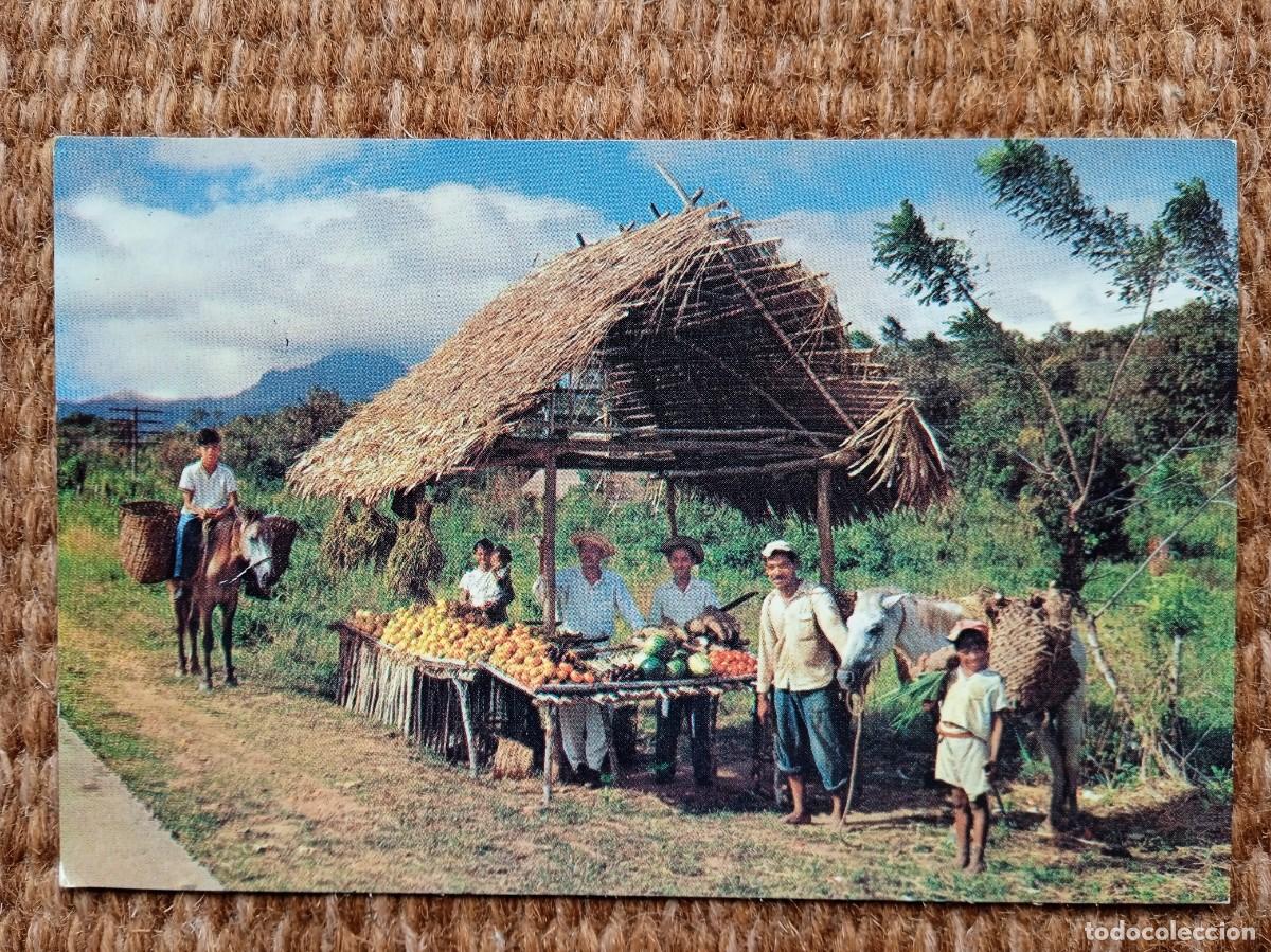 Postales: PANAMA - RANCHO TIPICO EN LA CARRETERA PAN AMERICANA - Foto 1