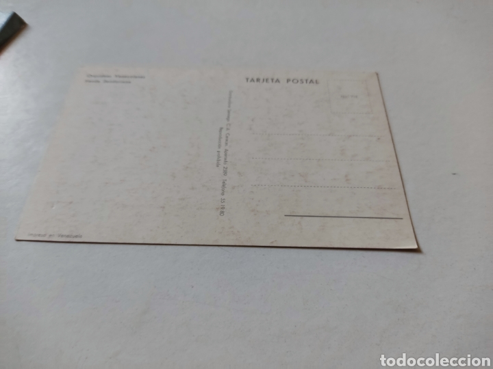 Postales: Postal orqu&iacute;deas venezolanas - Foto 2