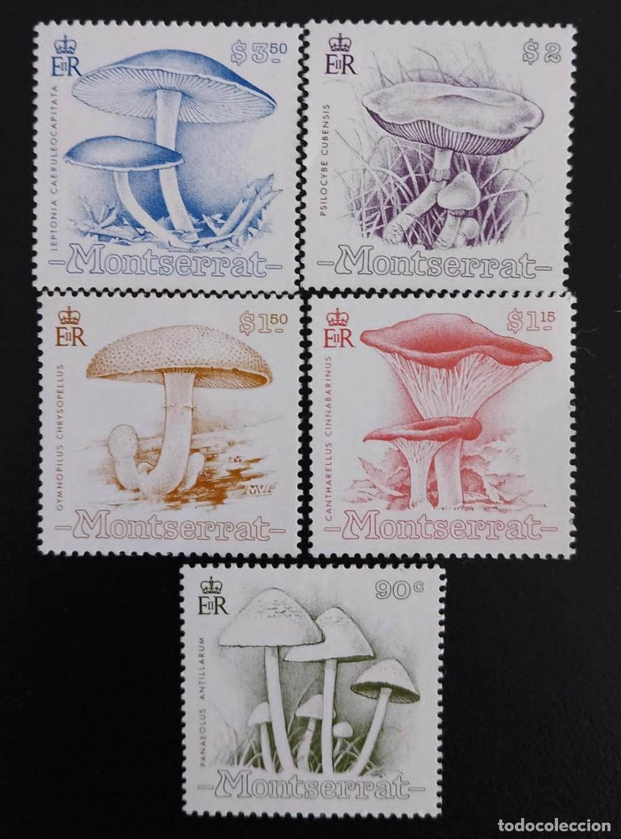 Postkarten: SD)MONSERRAT. FUNGUS. VARIETY OF FUNGI. MSD)MONSERRAT. FUNGUS. VARIETY OF FUNGI. MNHNH