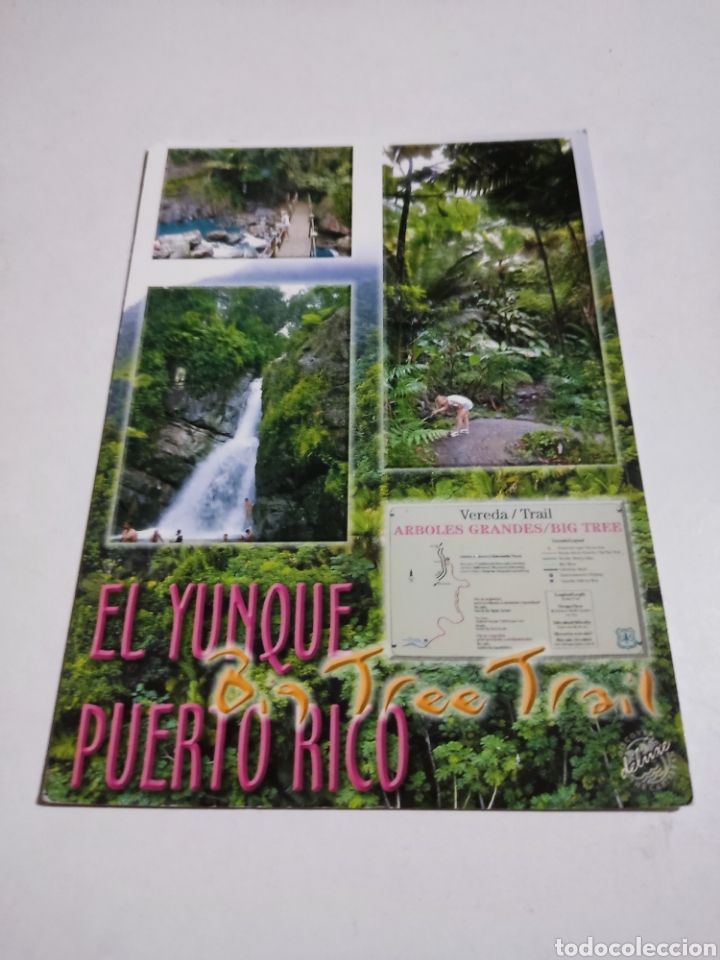 Postkarten: Postal Cascada El yunque, Puerto Rico