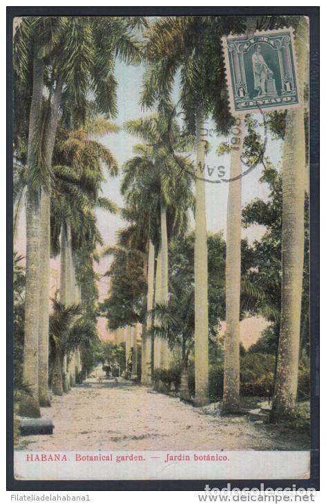 Postales: POS-56 CUBA.1928. TARJETA POSTAL A CHECOSLOVAQUIA. POSTCARD. JARDIN BOTANICO. BOTANICAL GARDEN