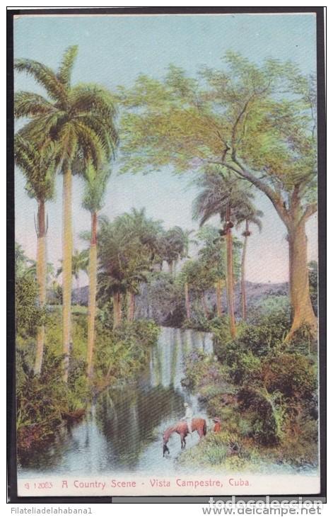 Postales: POS-116 CUBA CIRCA 1920 POSTCARD COUNTRY SCENE IN RIVER. PAISAJE CAMPESTRE CON RIO. UNUSED