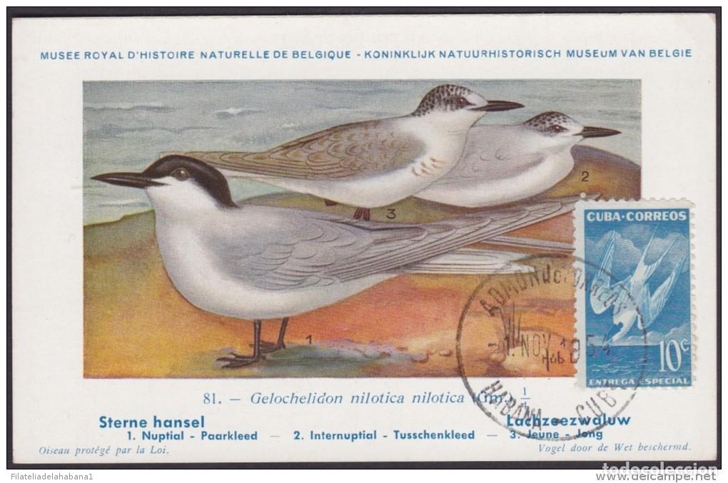 Postales: TMA-24 CUBA 1954. TARJETA MAXIMA FDC GAVIOTA ENTREGA ESPECIAL. SPECIAL DELIVERY. BIRD AVES PAJAROS.
