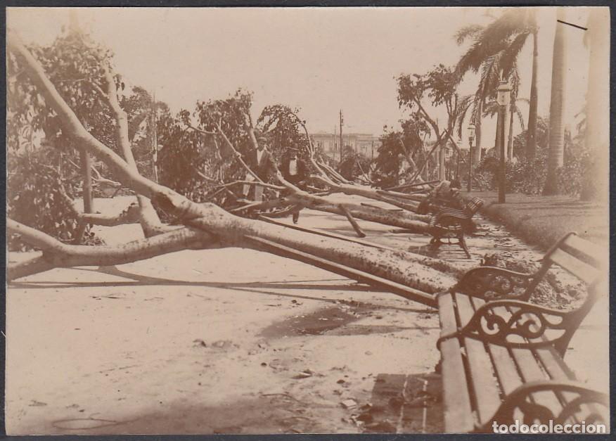 Postales: POS-213 CUBA CIRCA 1910 PHOTO HURACAN ALAMEDA DE PAULA DESTROZADA 7,5 x11cm.
