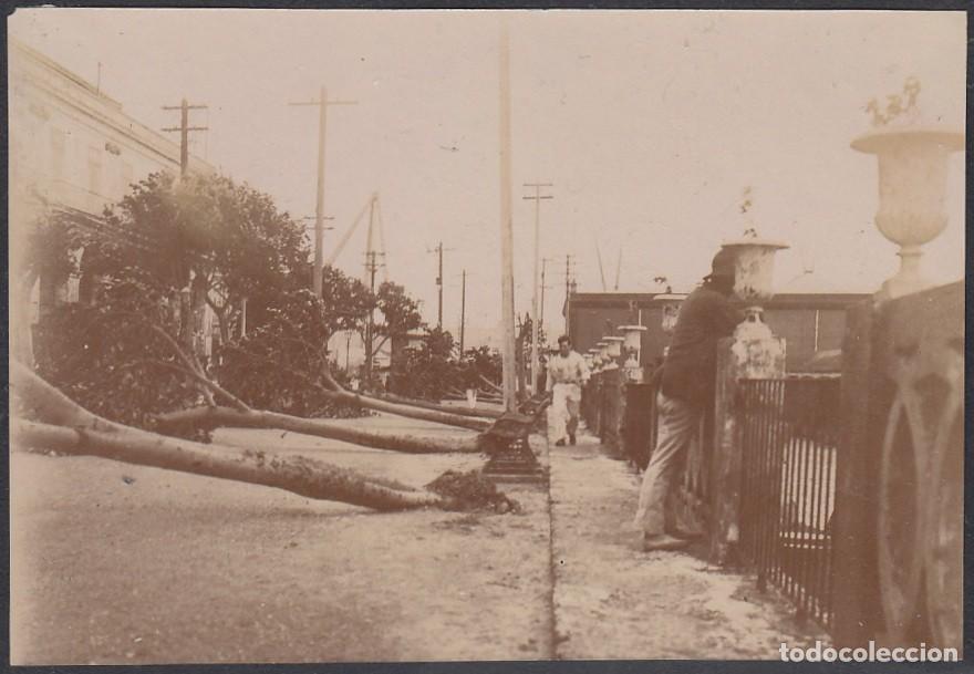 Postales: POS-212 CUBA CIRCA 1910 PHOTO HURACAN ALAMEDA DE PAULA DESTROZADA 7,5 x11cm.