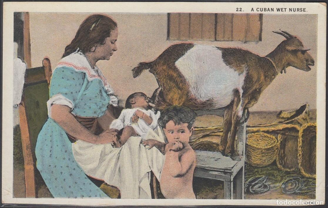 Cartes Postales: POS-309 CUBA POSTCARD. CIRCA 1920. NI&Ntilde;A ALIMENTANDOSE DE CHIVA. CUBAN WET NURSE. UNUSED.