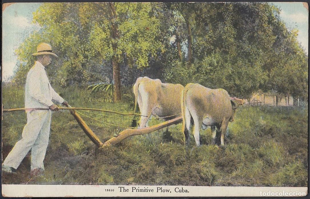Cartes Postales: POS-267 CUBA POSTCARD. 1917. CAMPESINO ARANDO EL CAMPO, PRIMITIVE PLOW.