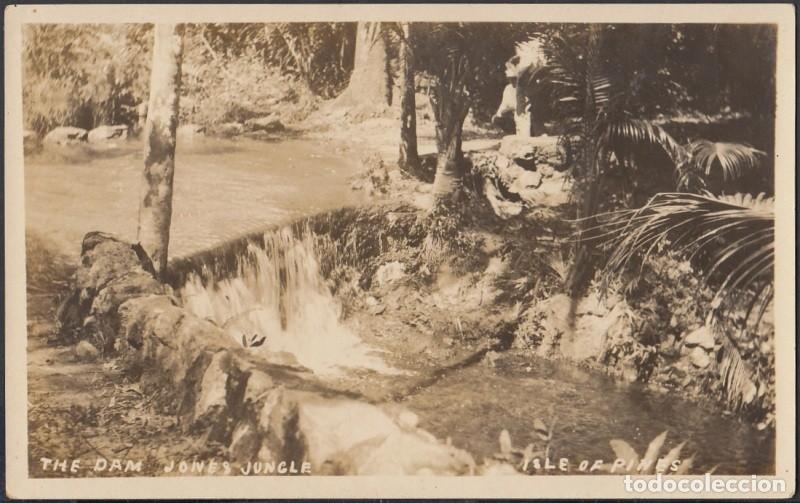 Cartes Postales: POS-357 CUBA PHOTOGRAPHIC POSTCARD PINES IS. CIRCA 1920. THE DAM JONES JUNGLE. UNUSED.