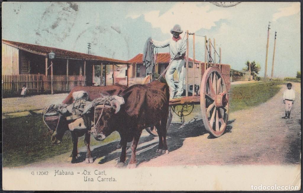 Cartes Postales: POS-551 CUBA POSTCARD. 1906. UNA CARRETA DE BUEYES. OX CART.