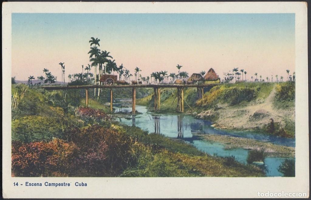 Postkarten: POS-573 CUBA POSTCARD. CIRCA 1920. PAISAJE CUBANO. COUNTRY LANDSCAPE.