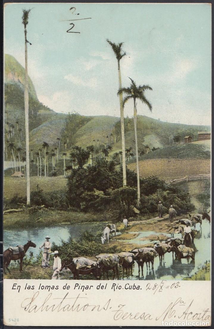 Cartes Postales: POS-669 CUBA POSTCARD. 1903. PINAR DEL RIO. LOMAS DE PINAR DEL RIO MOUNTAINS.