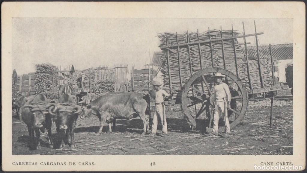 Cartes Postales: POS-745 CUBA POSTCARD. 1901. BUFFALO EXPO. CARRETAS DE CA&Ntilde;A. SUGAR CANE CART.