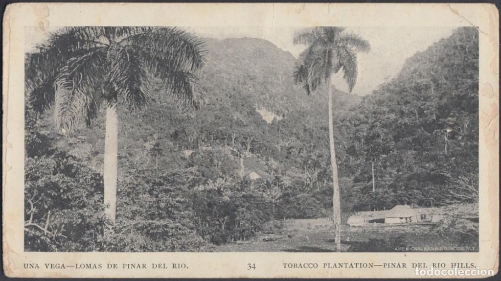 Cartes Postales: POS-763 CUBA POSTCARD. 1901. BUFFALO EXPO. PINAR DEL RIO. TOBACCO PLANTATION. PLATACION DE TABACO.