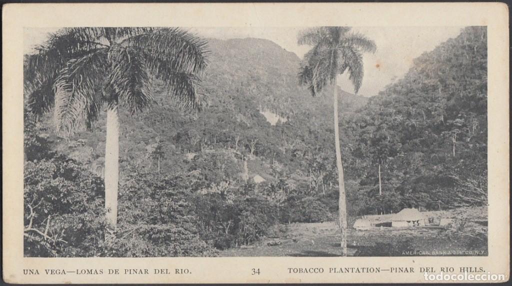 Cartes Postales: POS-760 CUBA POSTCARD. 1901. BUFFALO EXPO. PINAR DEL RIO. TOBACCO PLANTATION. PLATACION DE TABACO.