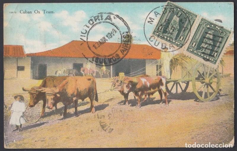 Postkarten: POS-861 CUBA POSTCARD. 1910. CUBAN OX TEAM. JUNTA DE BUEYES.