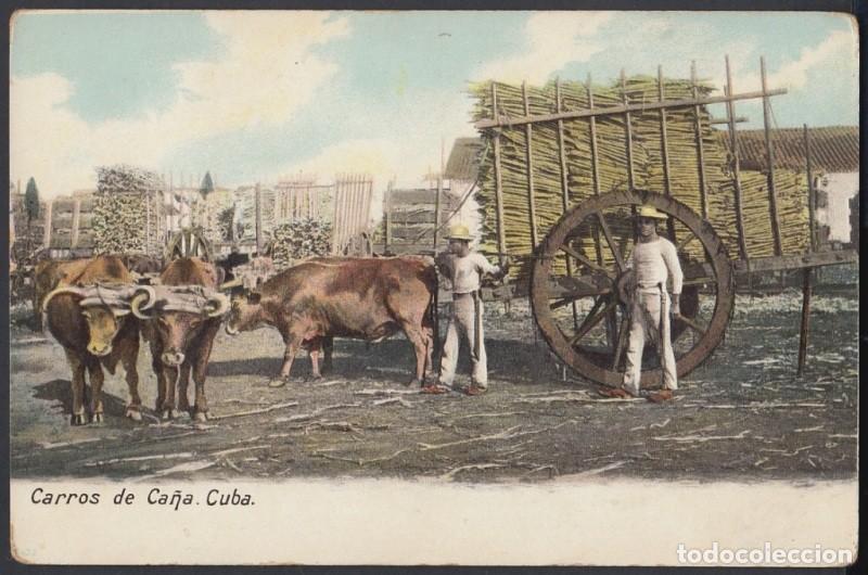 Postcards: POS-869 CUBA POSTCARD. CIRCA 1905. CARROS DE CA&Ntilde;A. SUGAR MILLS CAR.