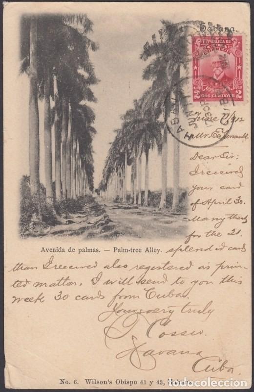Postcards: POS-935 CUBA POSTCARD. 1912. ROYAL PALM TO DIEGO SUAREZ. MADAGASCAR. RARE.