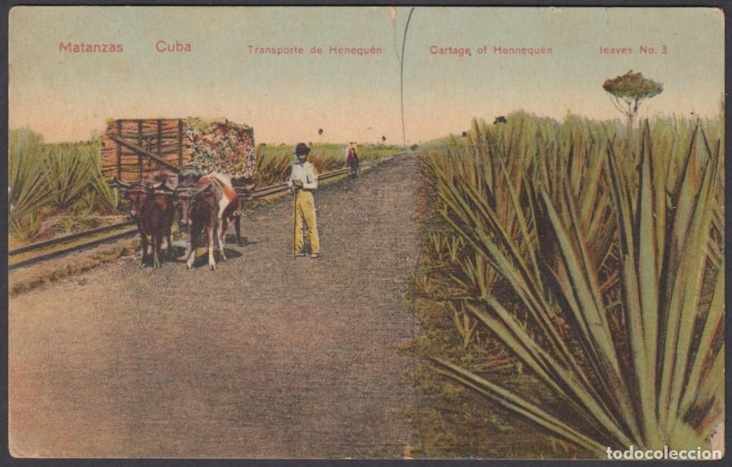 Postcards: POS-1037 CUBA POSTCARD. CIRCA 1910. MATANZAS, TRANSPORTE DE HENEKEN, HENNEQUEN CARTAGE.