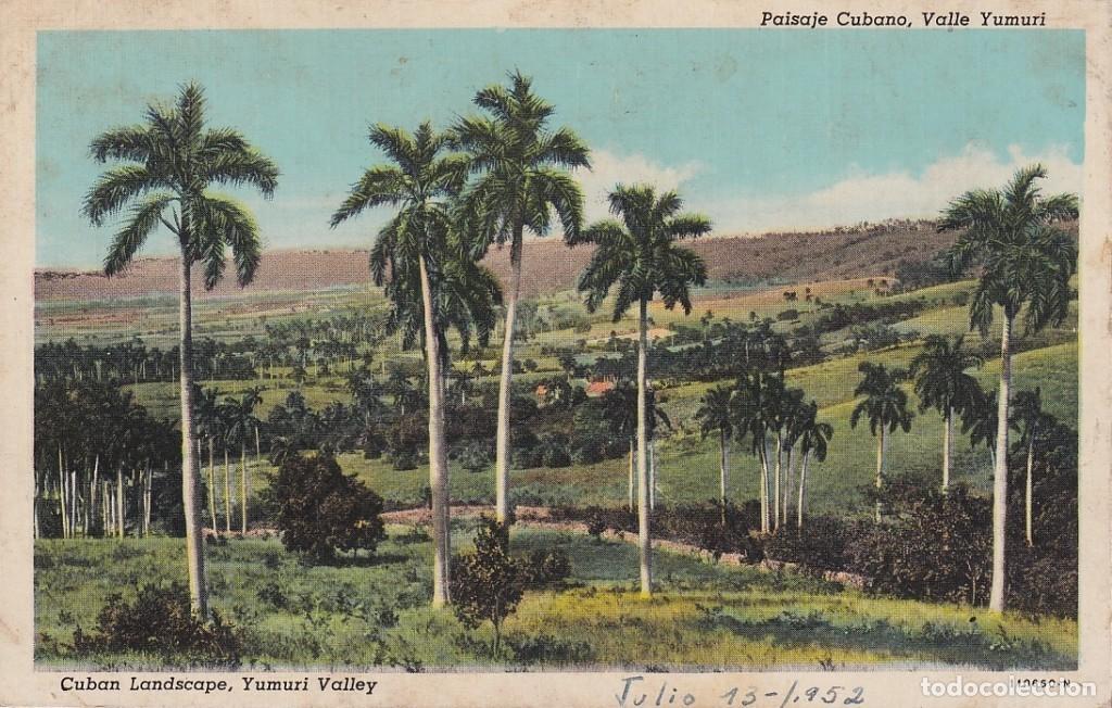 Postais: POS-1088 CUBA 1952 POSTCARD YUMURY RIVER VALLEY