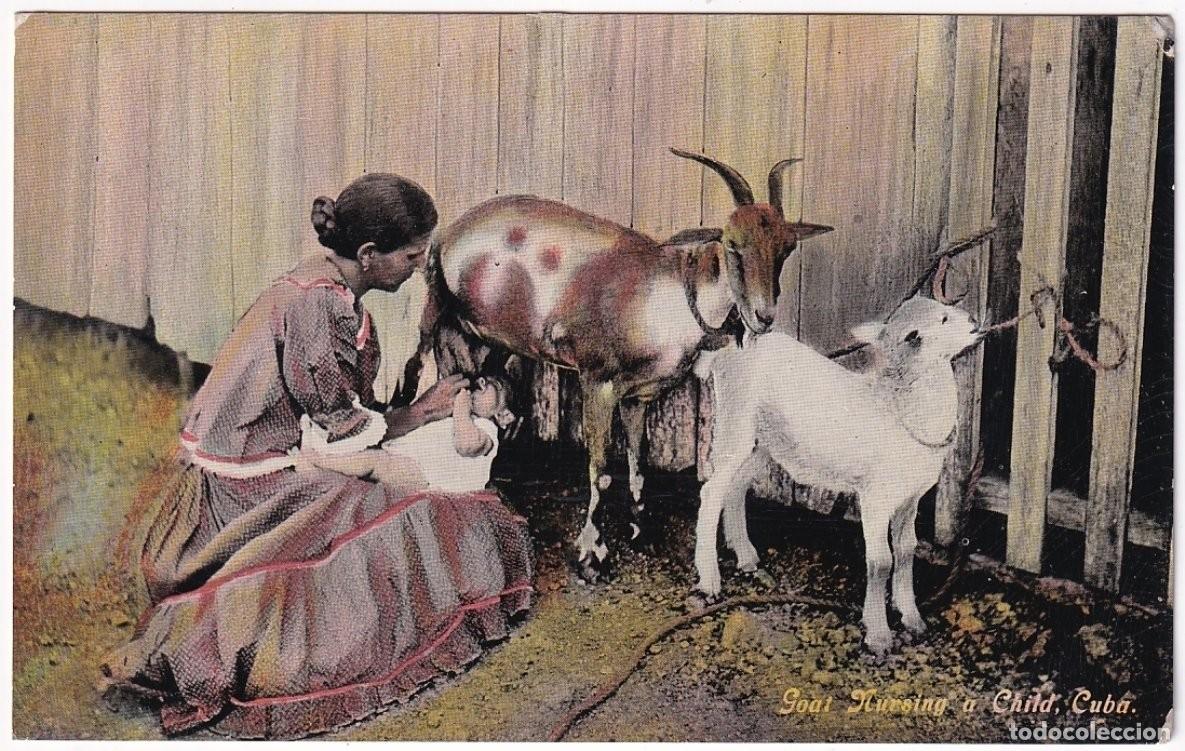Postais: POS-1137 CUBA POSTCARD UNUSED CIRCA 1910 GOAT NURSIND A CHILD, ALIMENTANDO NI&Ntilde;O CON UNA CABRA.