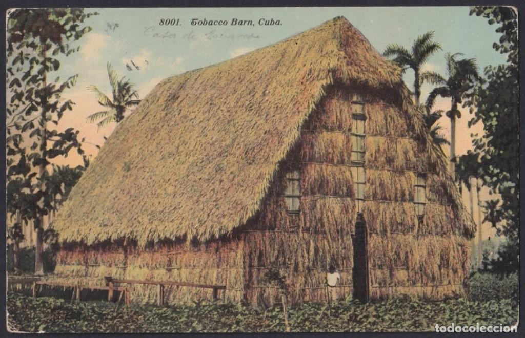 Postkarten: POS-1198 CUBA POSTCARD CIRCA 1920 TOBACCO PLANTATION, VEGA DE TABACO