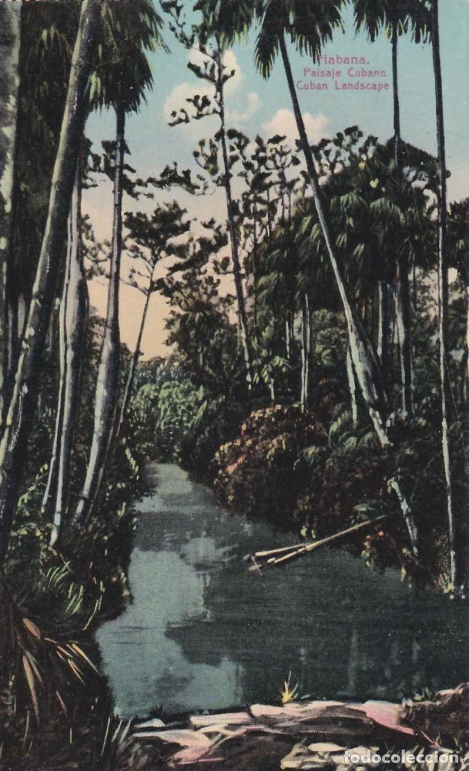 Cartoline: POS-1338 CUBA POSTCARD CIRCA 1920 COUNTRY RIVER LANDSCAPE.