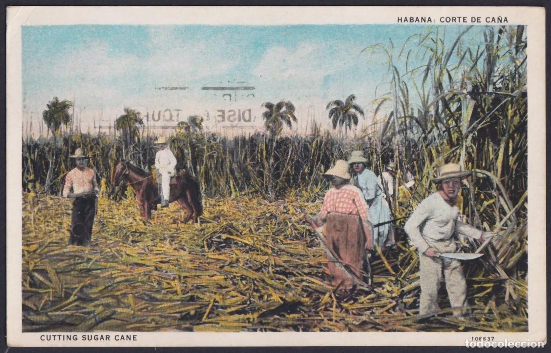 Cartoline: POS-1407 CUBA POSTCARD 1930 CUTTING SUGAR CANE TO US