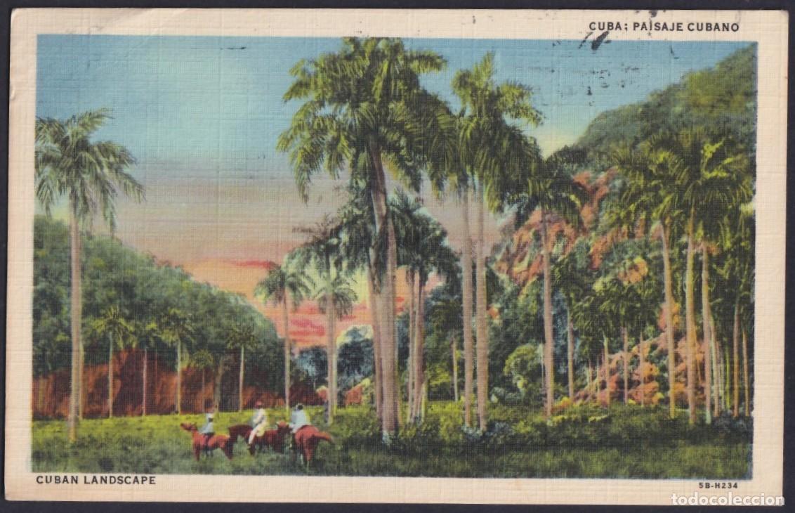 Postales: POS-1481 CUBA POSTCARD 1946 PAISAJE CAMPESTRE CON PALMAS LANDSCAPE PALM TO FRANCE.