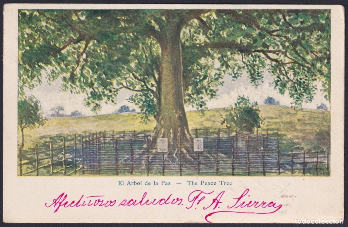 Postkarten: POS-1664 CUBA 1903 POSTCARD PEACE TREE OF SANTIAGO DE CUBA, GUANTANAMO TO SPAIN.