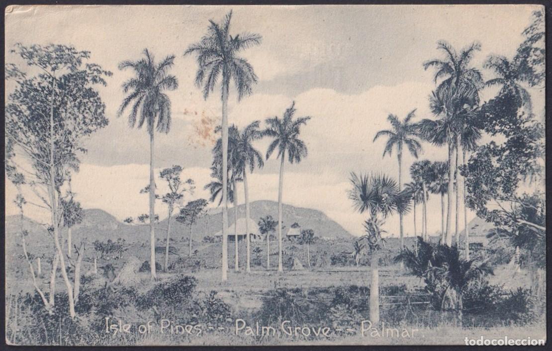 Postales: POS-1725 CUBA 1912 POSTCARD PINES IS COUNTRY LANDSCAPE & ROYAL PALM.