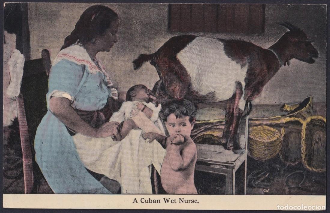 Postales: POS-1731 CUBA CIRCA 1920 POSTCARD WET NURSE CHIVA AMAMANTANDO UN NI&Ntilde;O.