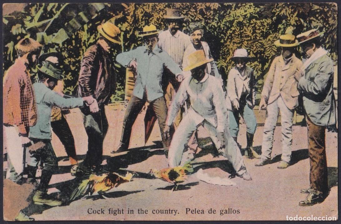 Postales: POS-1732 CUBA CIRCA 1920 POSTCARD UNUSED COCK FIGHT PELEA DE GALLOS ROOSTER.