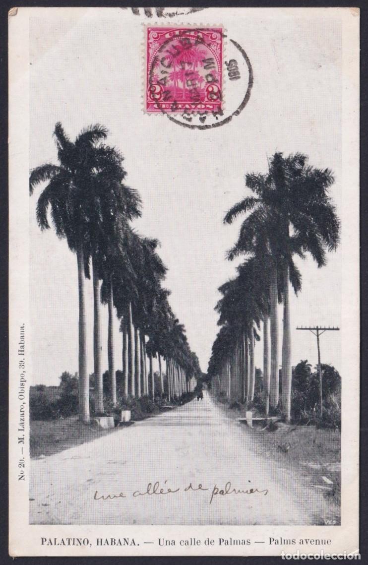 Postales: POS-1733 CUBA 1905 POSTCARD RARE MAXIM CARD PALM COUNTRY LANDSCAPE.