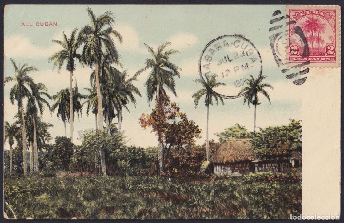 Postales: POS-1716 CUBA 1908 POSTCARD RARE MAXIM CARD PALM COUNTRY LANDSCAPE.