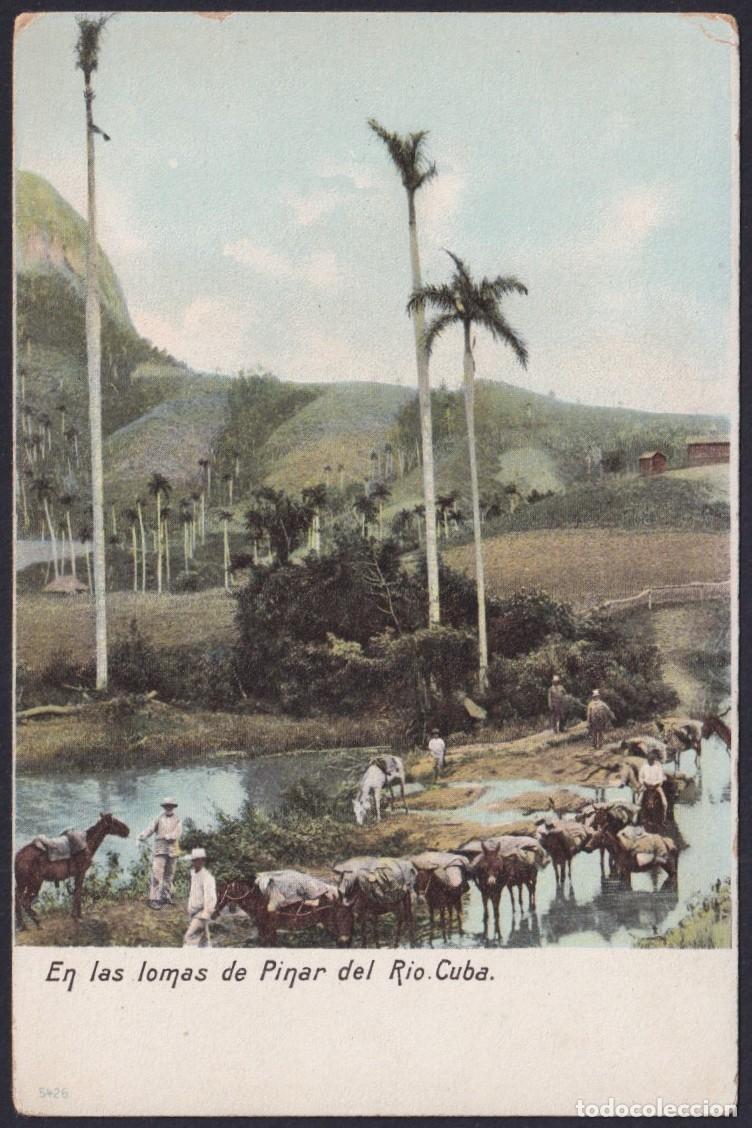Postales: POS-1718 CUBA CIRCA 1905 POSTCARD UNUSED PINAR DEL RIO COUNTRY RIVER LANDSCAPE.