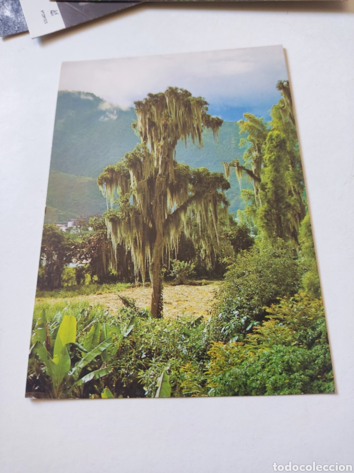 Postales: Postal Andes venezolanos - Foto 1