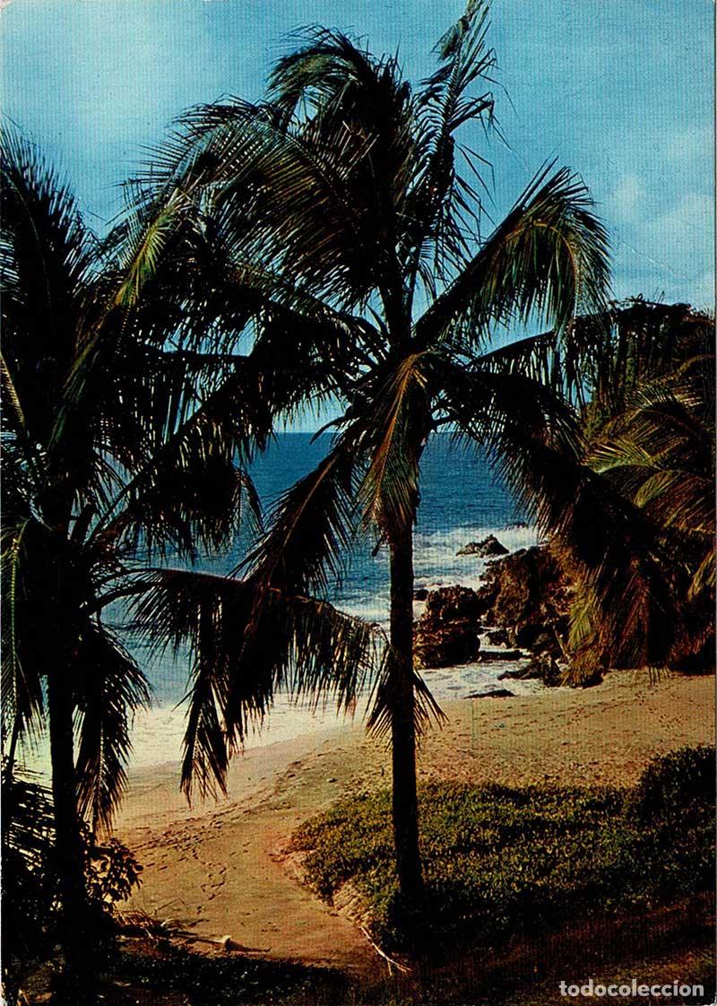 Cartoline: Postal Antilles. Guadeloupe. Plage de Ferry No. 223