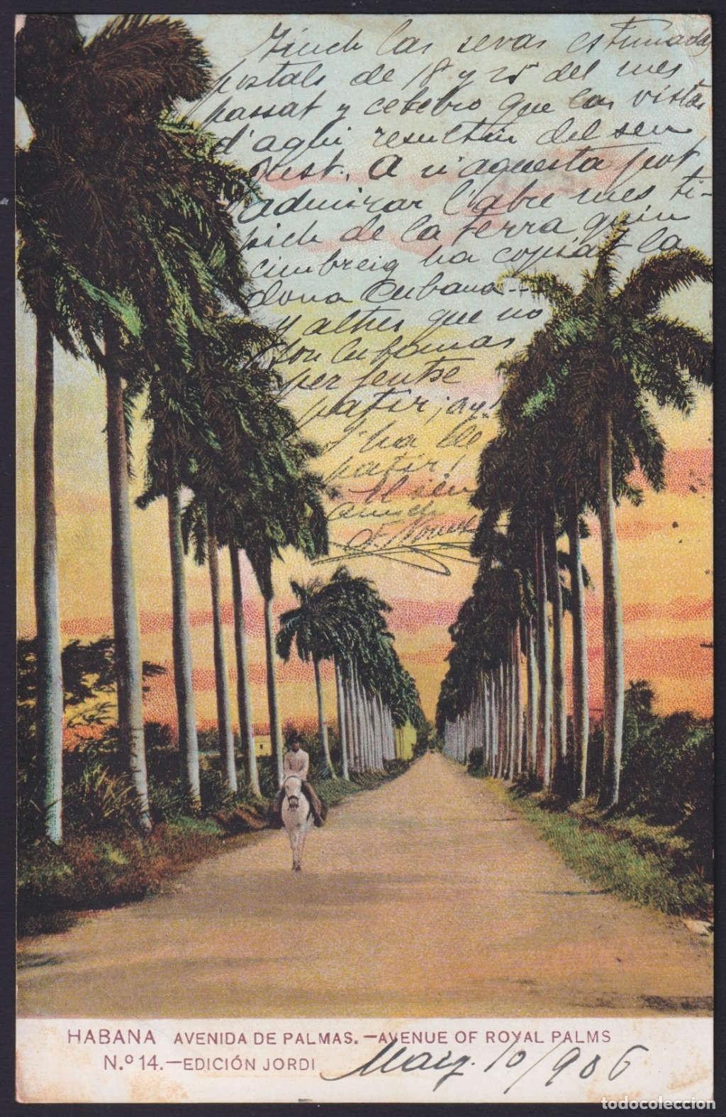 Postcards: POS-1815 CUBA POSTCARD 1906 ROYAL PALM AVENUE, HAVANA TO SPAIN