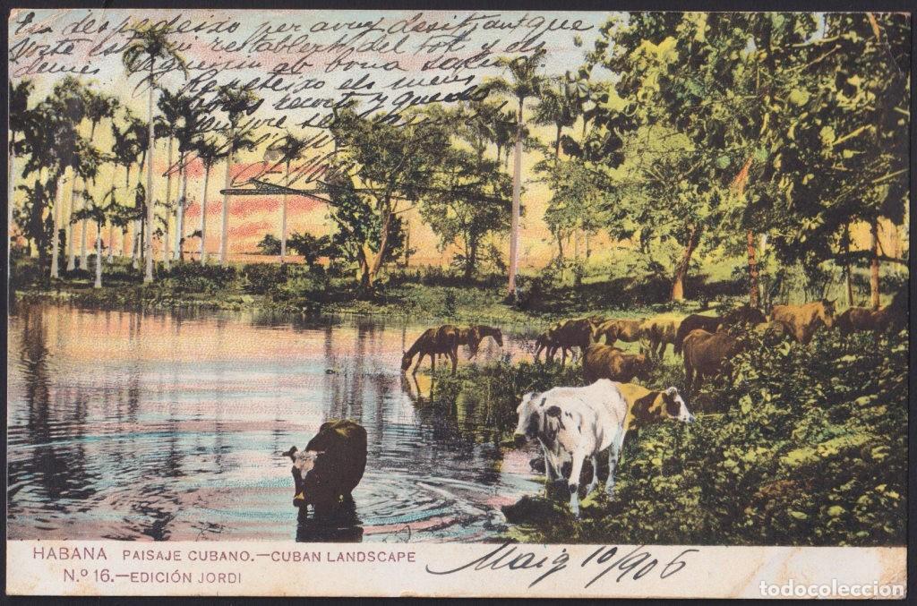 Postcards: POS-1825 CUBA POSTCARD 1906 PAISAJE CUBANO CUBAN LANDSCAPE RIVER TO SPAIN.